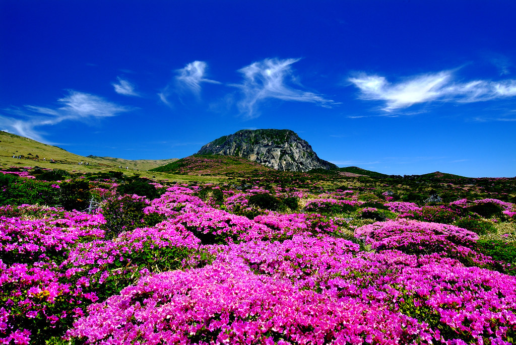 Jeju Island Tourist Etiquette: Rules Every Traveller Must Know (2025 Guide)